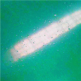 ʩ���F��-�ܷ�̻�����ƺ